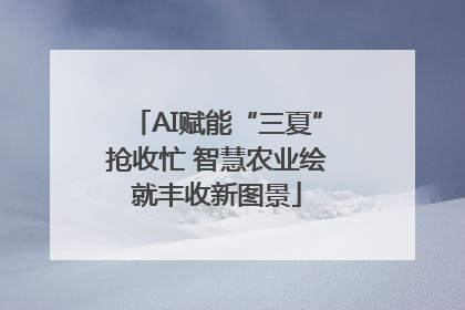AI赋能“三夏”抢收忙 智慧农业绘就丰收新图景